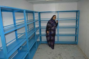 Daryalha Estanterías