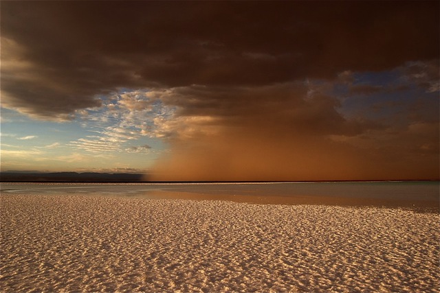 6a00d8341bfb1653ef019aff4e9eb3970d-pi