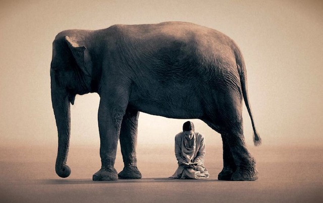 409387_264990036900317_172309769501678_732162_2011108840_n