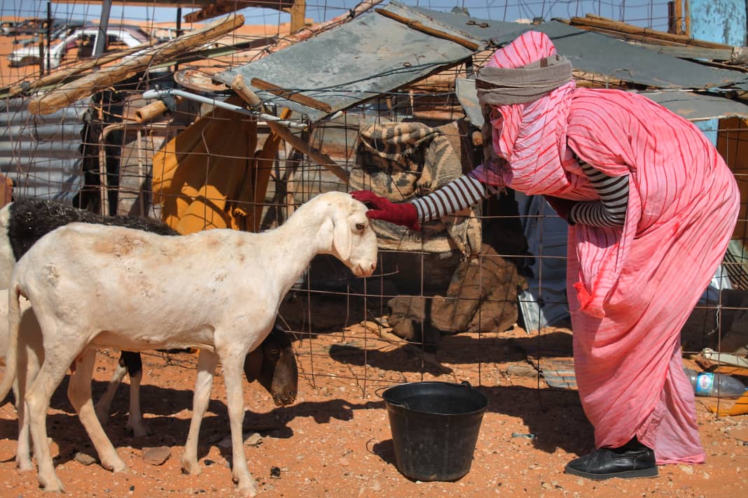 SI ME PREGUNTAN POR ELLA…