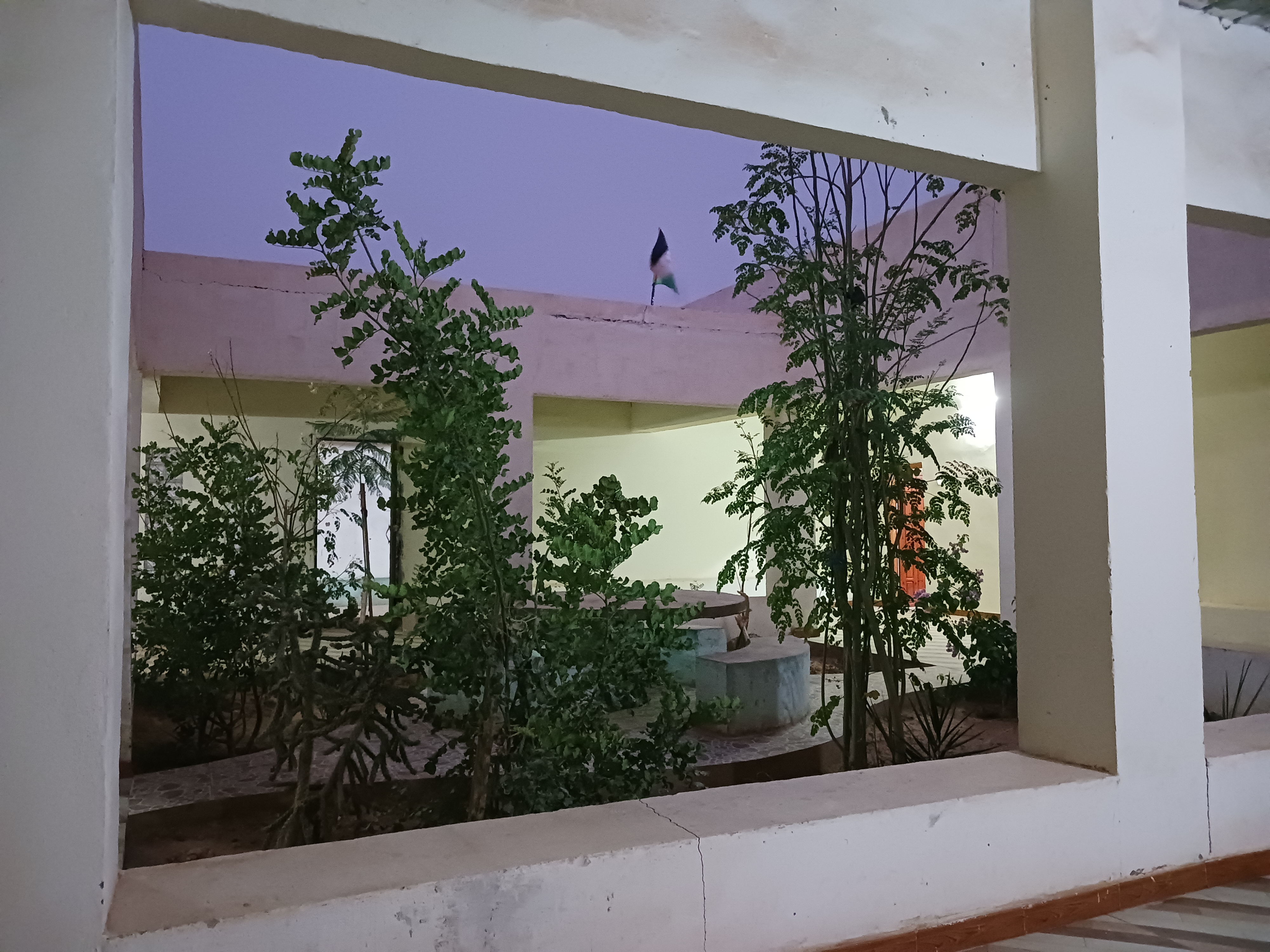 ¿QUÉ TE TRANSMITE ESTA FOTO?