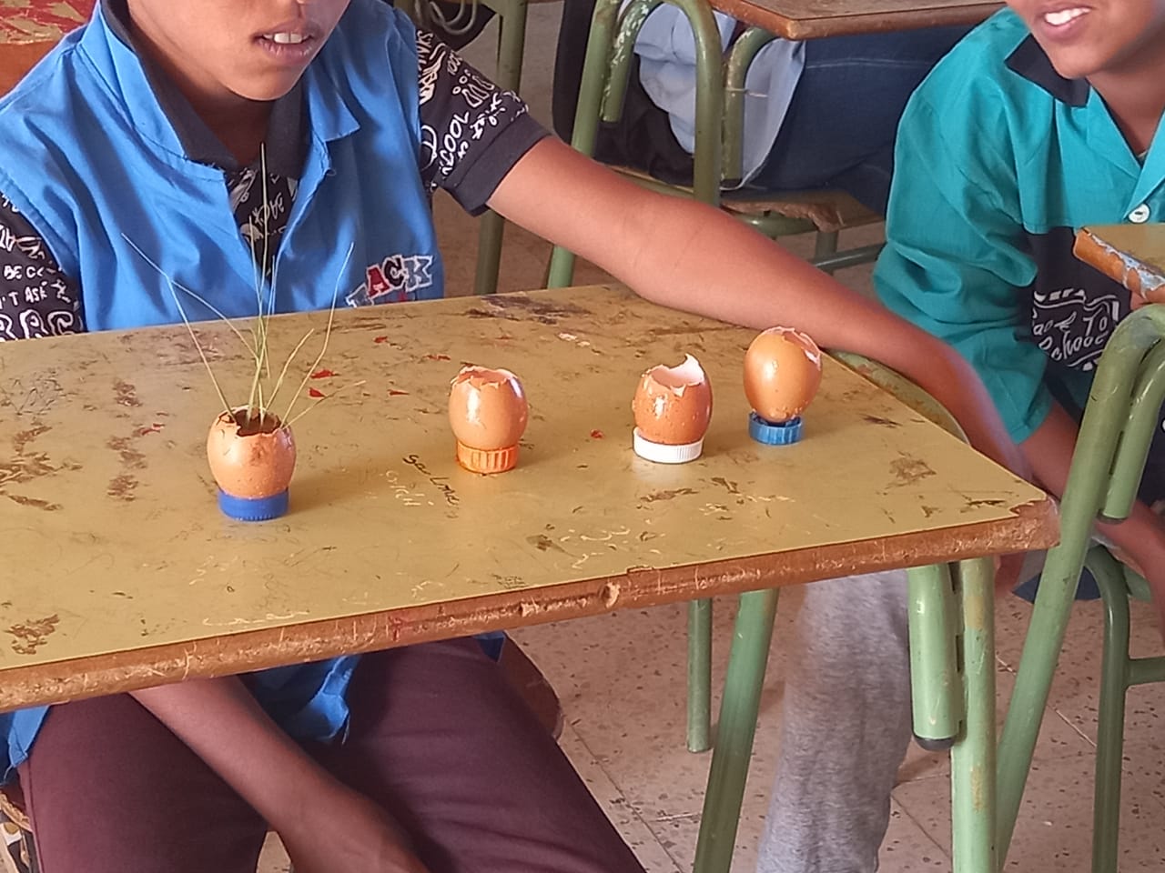 SEMILLAS PARA CUIDAR