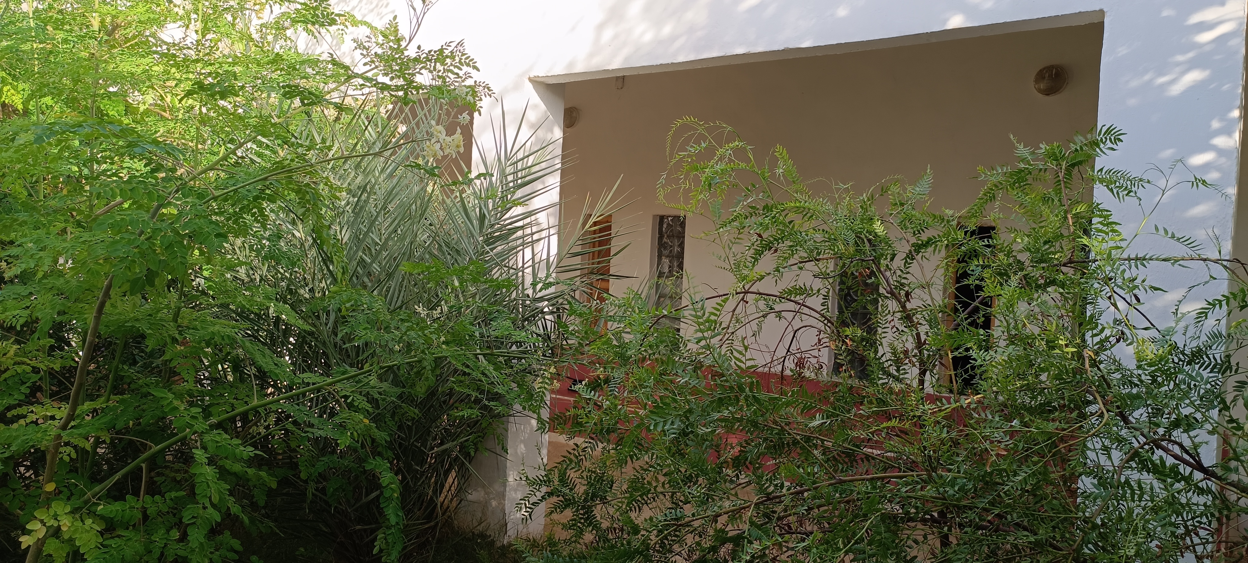 SOBREVIVIRÁN LOS JARDINES DEL BUBISHER