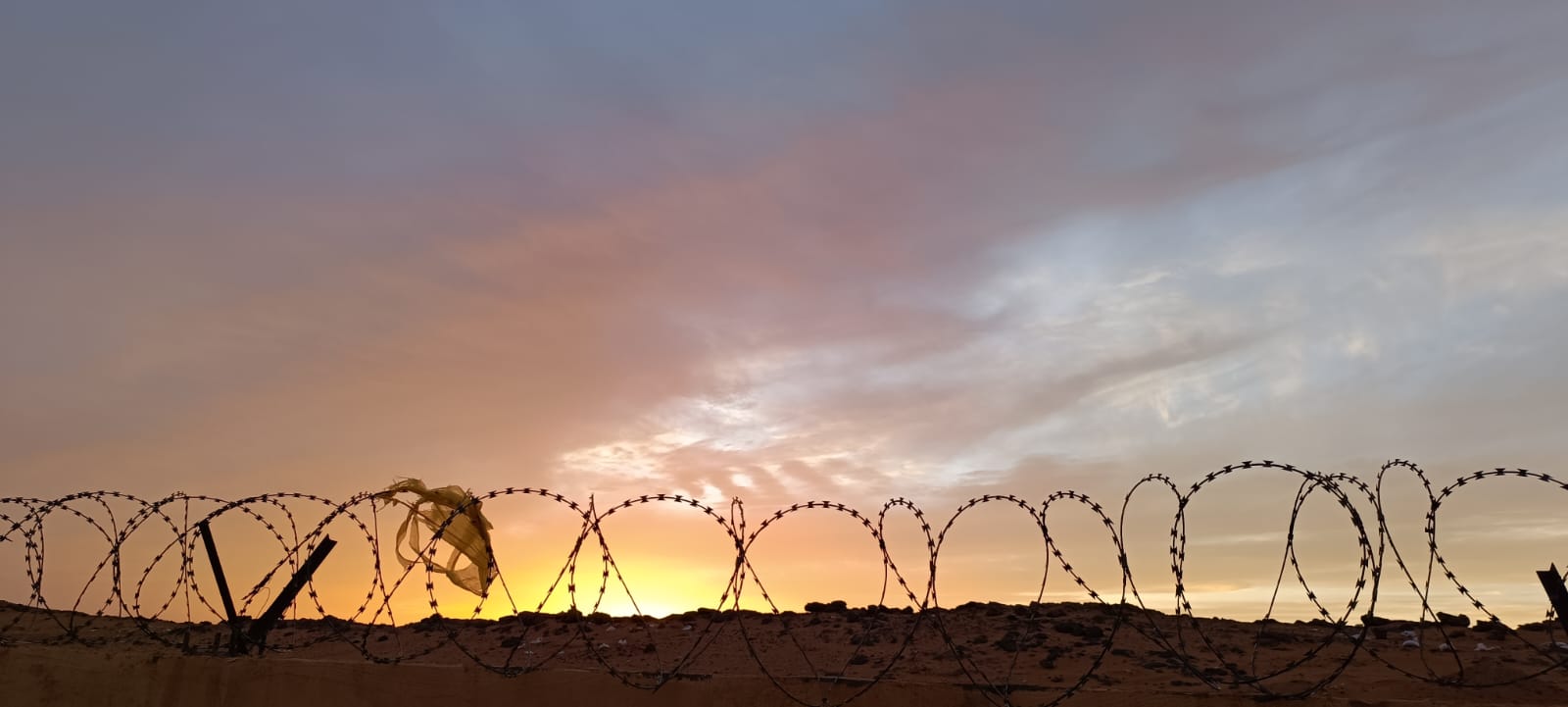EL OLOR DEL EXILIO