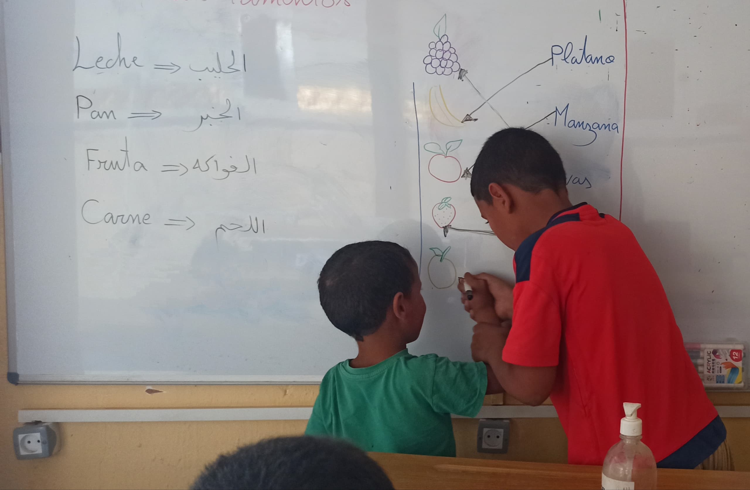 Biblioteca de Doneztebe / Santesteban; crónica de urgencia.