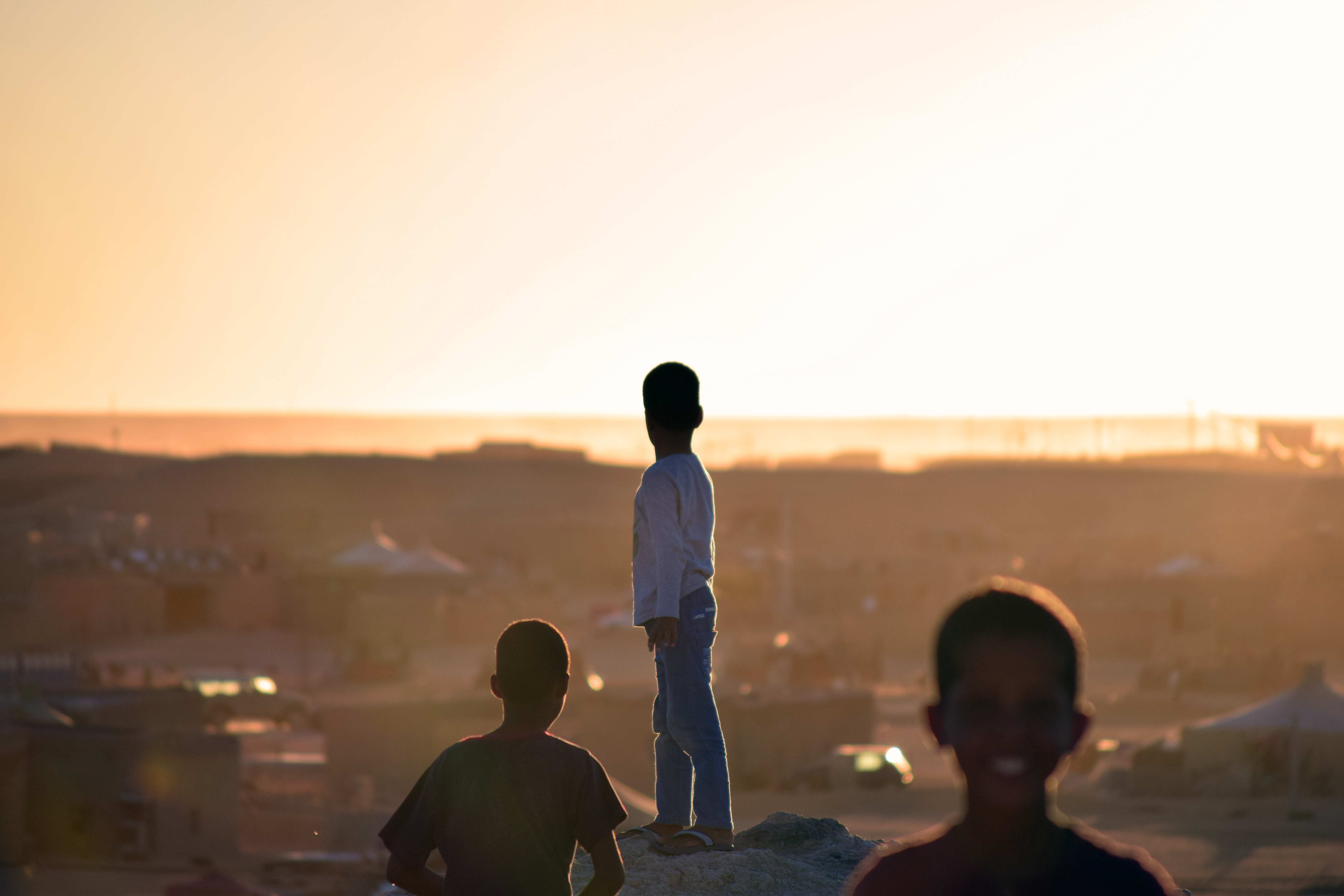 LA HAMADA ES UN ORGANISMO DURO