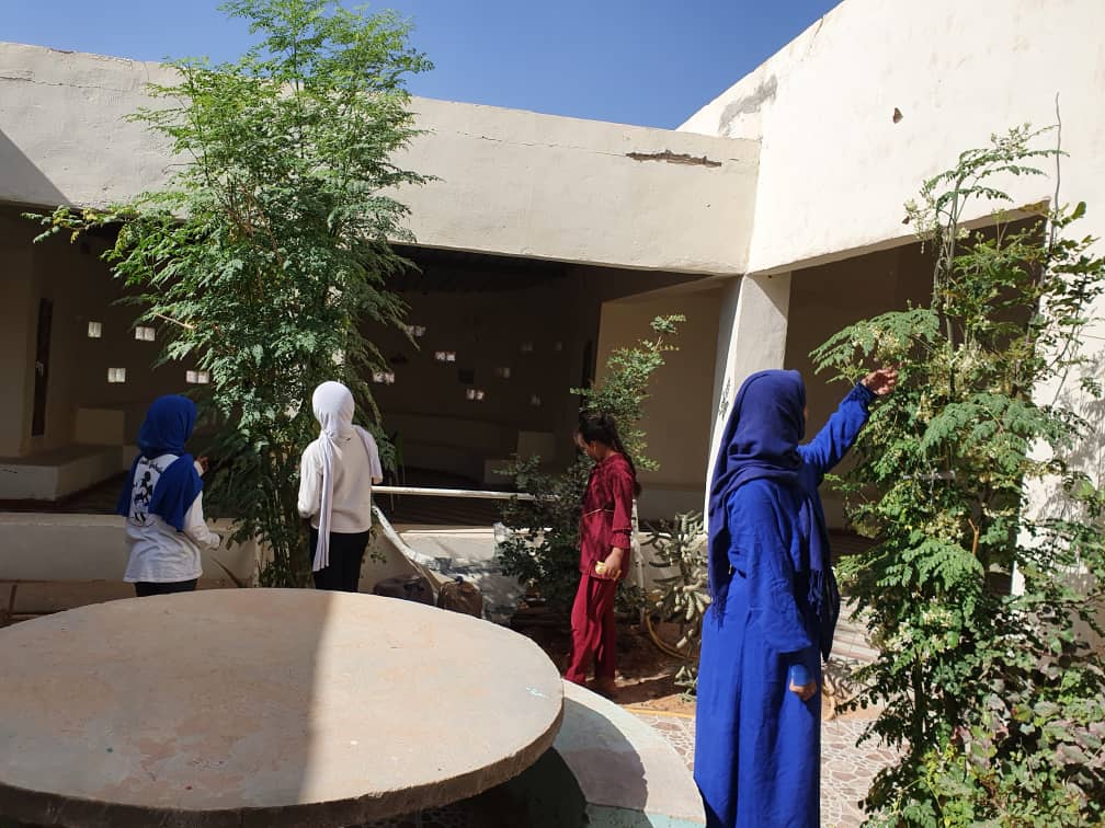 EL ÁRBOL DE LA VIDA