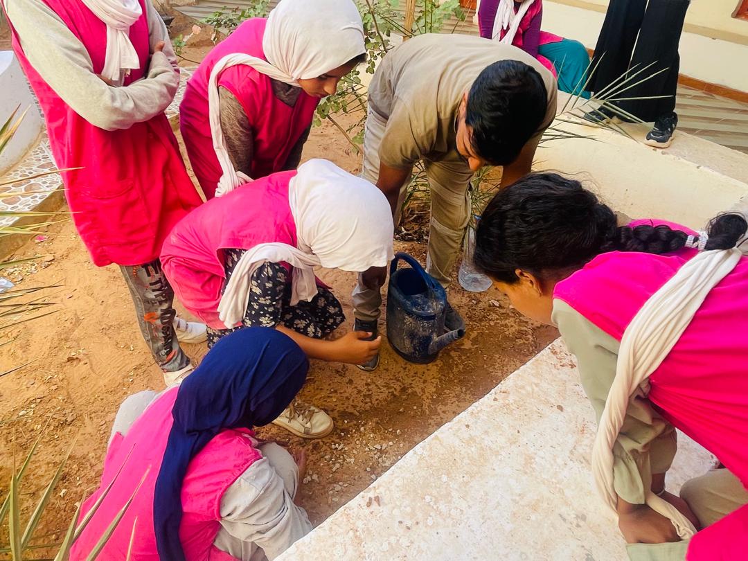 EL PODER DE LA CURIOSIDAD