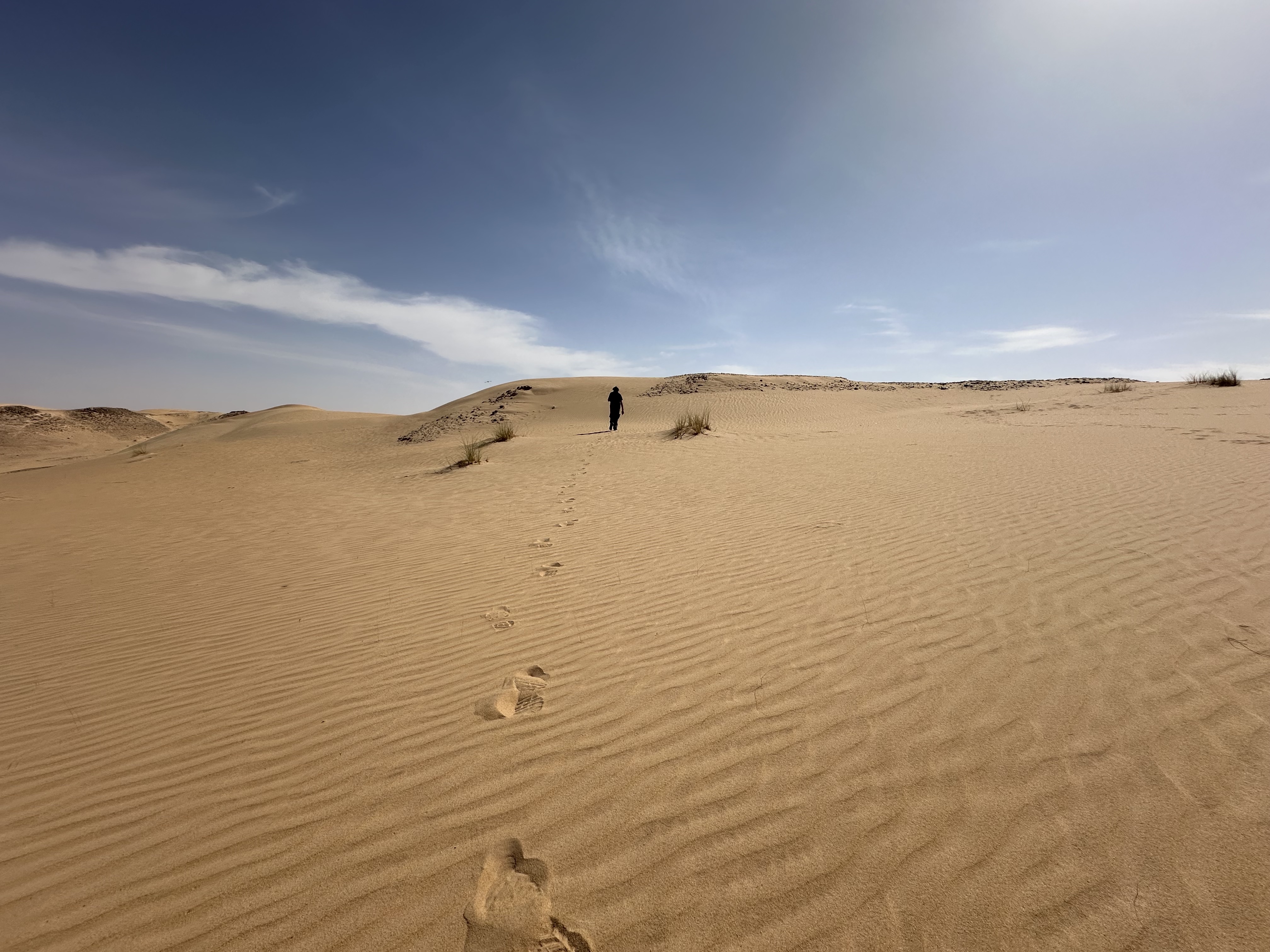 EL DESIERTO NO ESTA VACÍO