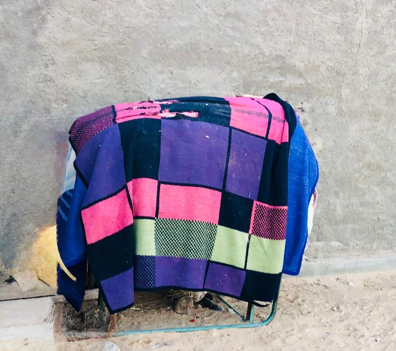 ELMER EN LA HAMADA